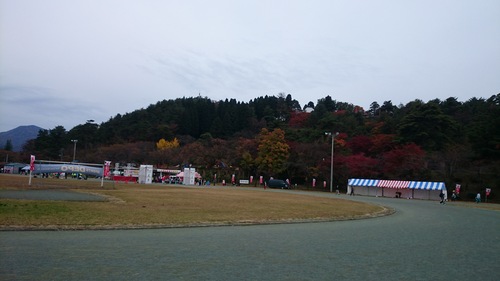 DSC_1193.JPG
