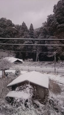 DSC_1403.JPG