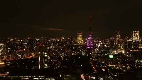 DSC_1645.JPG